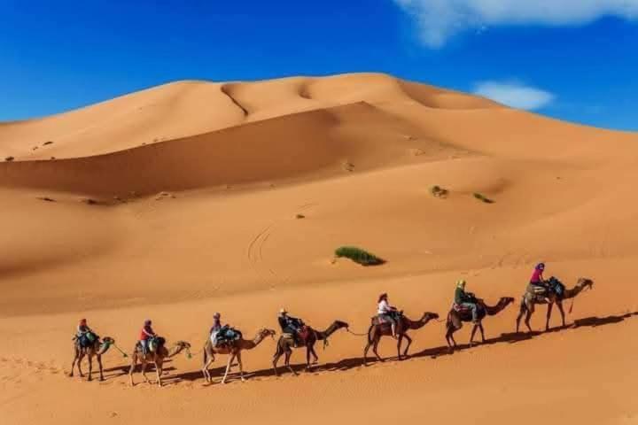Готель Bivouac Camel Trips Мерзуга Екстер'єр фото