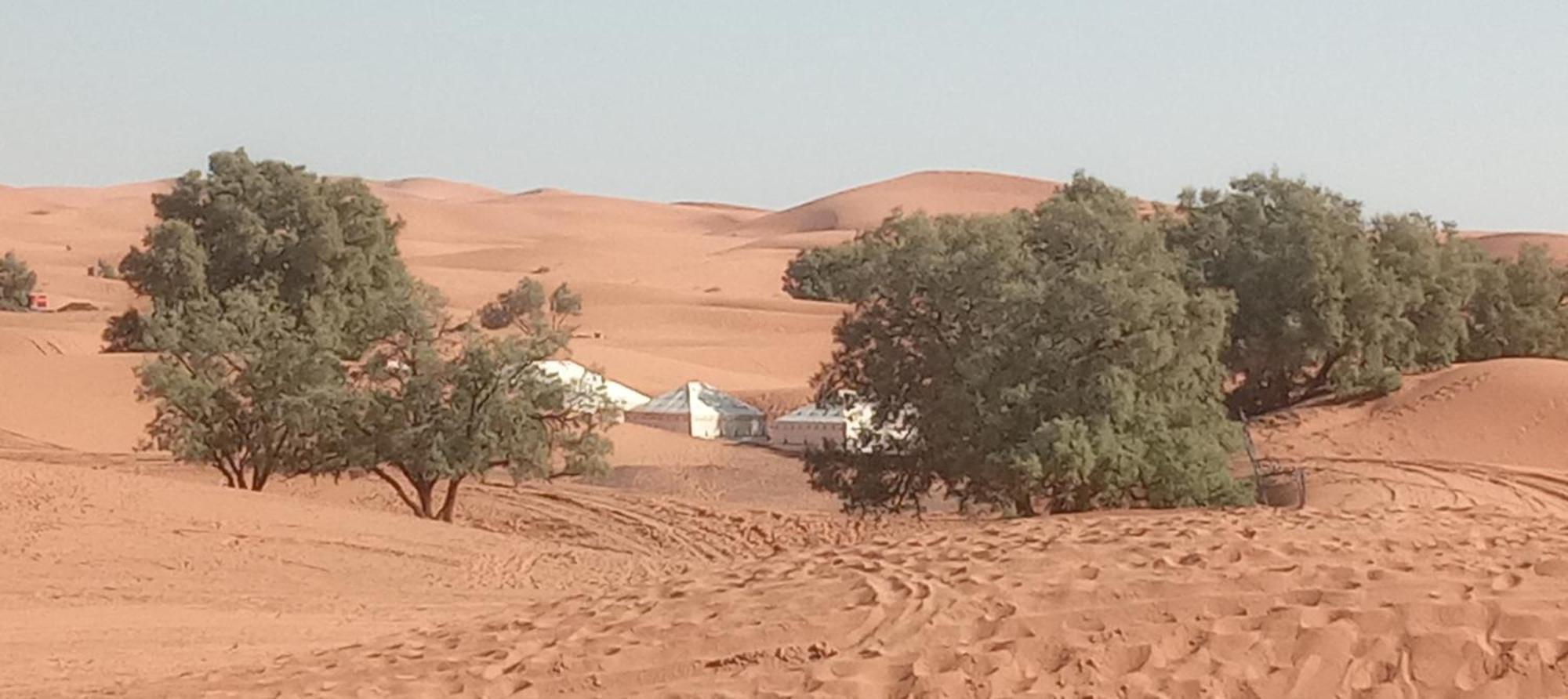 Готель Bivouac Camel Trips Мерзуга Екстер'єр фото