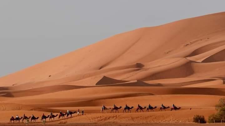 Готель Bivouac Camel Trips Мерзуга Екстер'єр фото