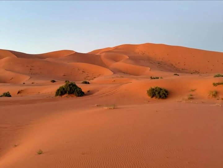 Готель Bivouac Camel Trips Мерзуга Екстер'єр фото