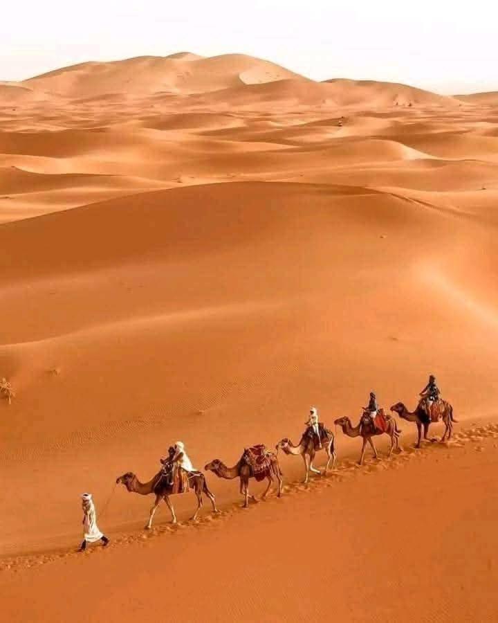 Готель Bivouac Camel Trips Мерзуга Екстер'єр фото