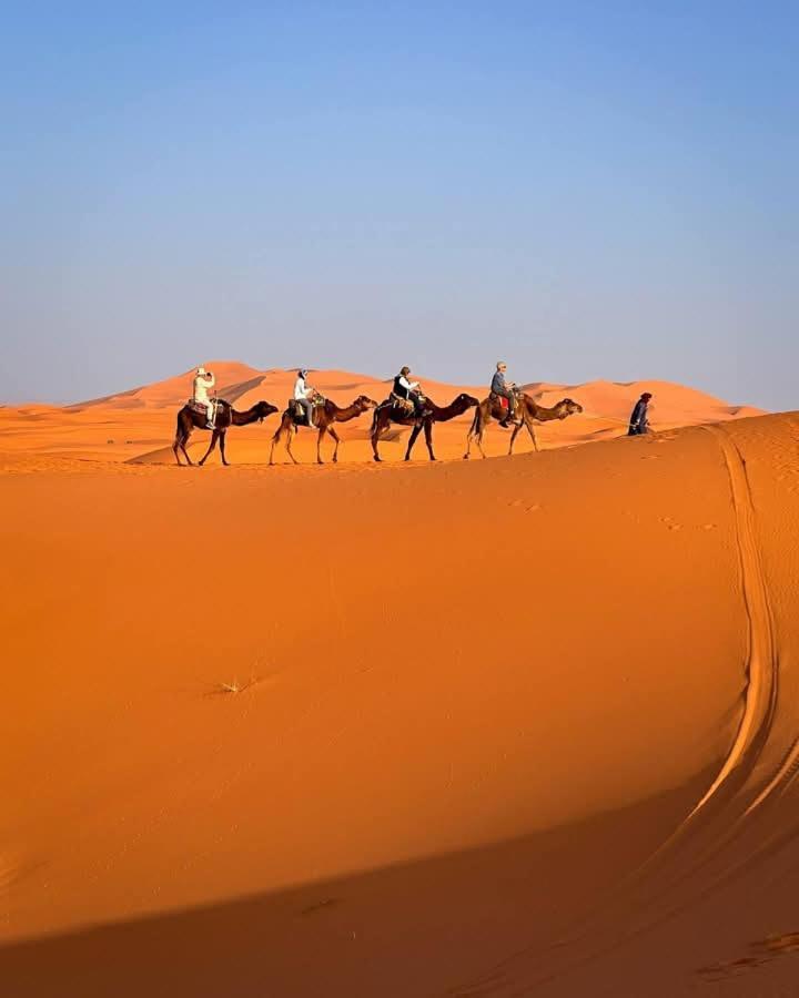 Готель Bivouac Camel Trips Мерзуга Екстер'єр фото