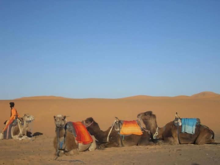 Готель Bivouac Camel Trips Мерзуга Екстер'єр фото