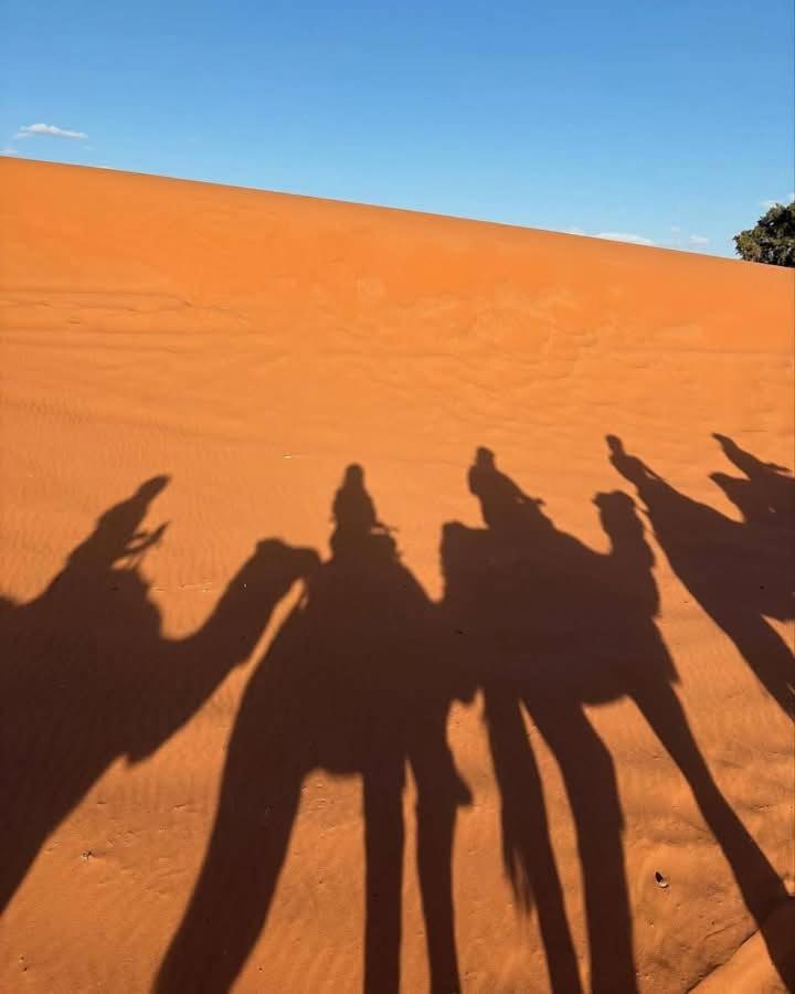 Готель Bivouac Camel Trips Мерзуга Екстер'єр фото
