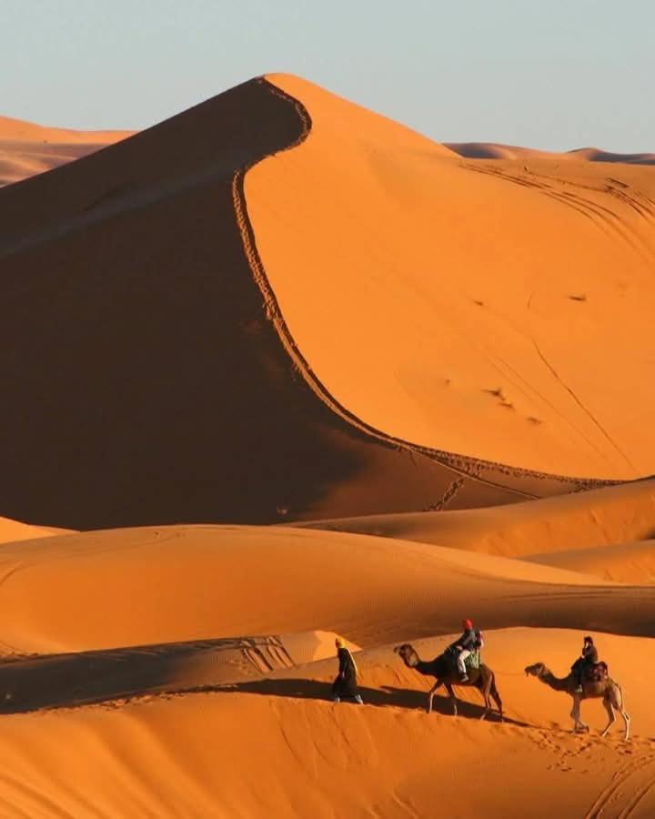 Готель Bivouac Camel Trips Мерзуга Екстер'єр фото